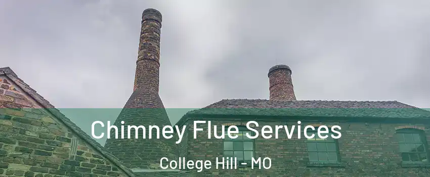 Chimney Flue Services College Hill - MO