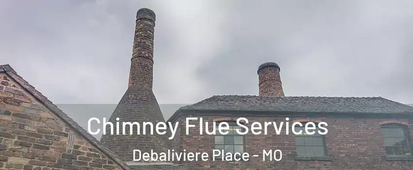 Chimney Flue Services Debaliviere Place - MO