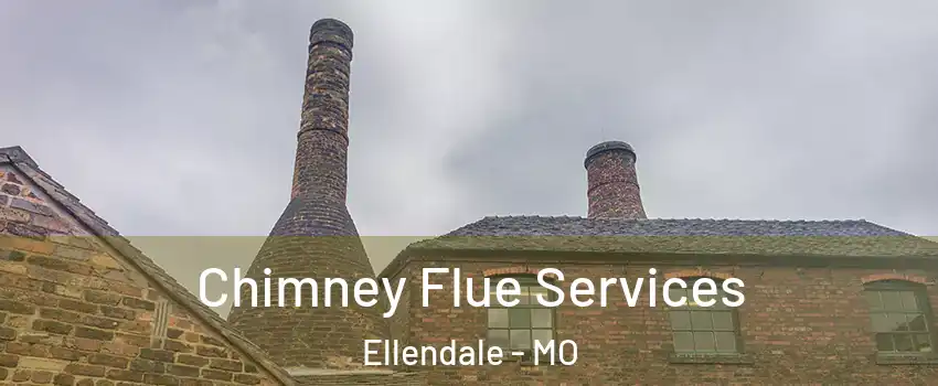 Chimney Flue Services Ellendale - MO