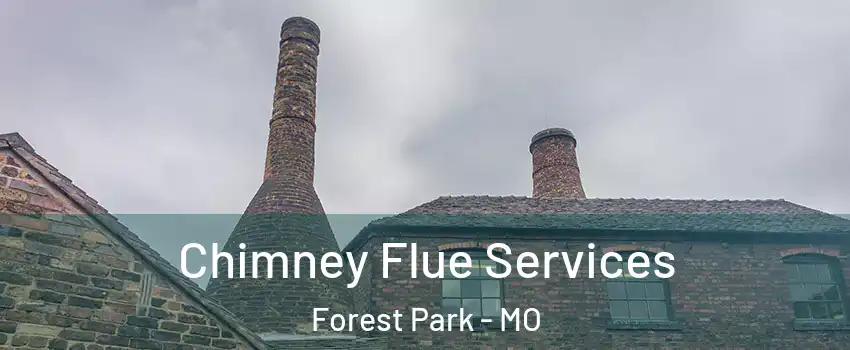 Chimney Flue Services Forest Park - MO