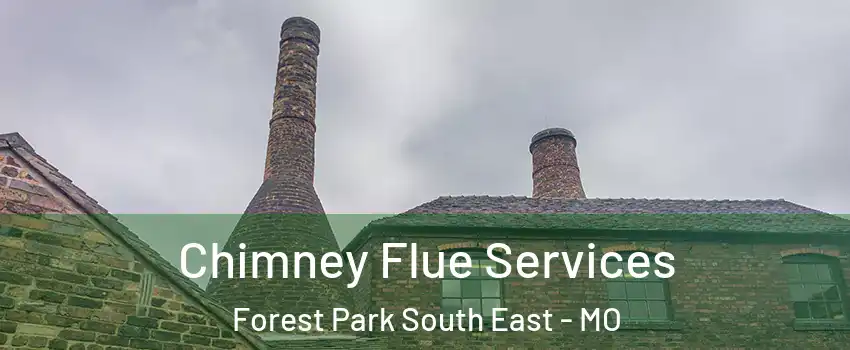 Chimney Flue Services Forest Park South East - MO