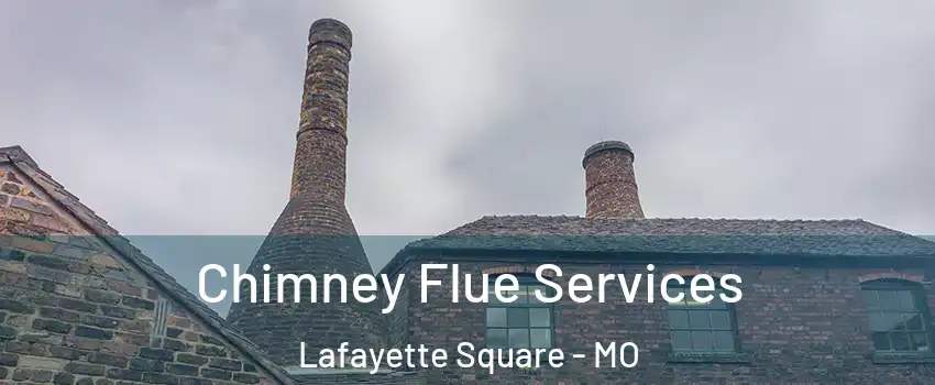 Chimney Flue Services Lafayette Square - MO