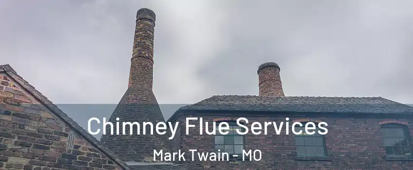 Chimney Flue Services Mark Twain - MO