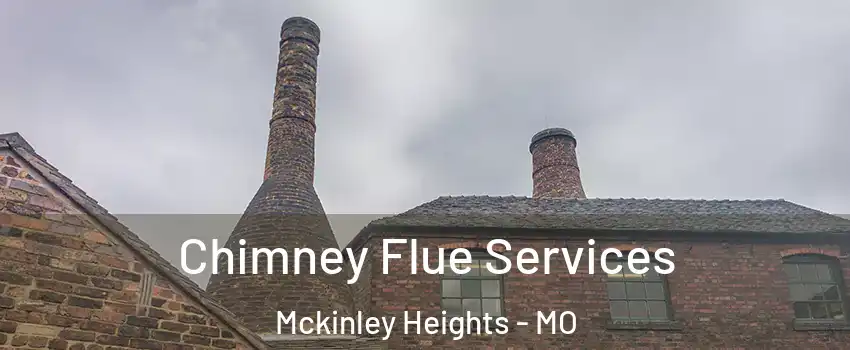 Chimney Flue Services Mckinley Heights - MO