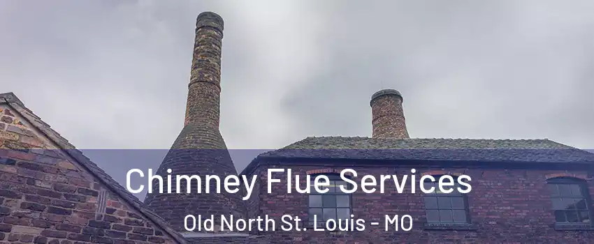 Chimney Flue Services Old North St. Louis - MO