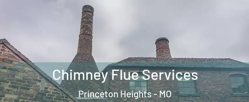 Chimney Flue Services Princeton Heights - MO