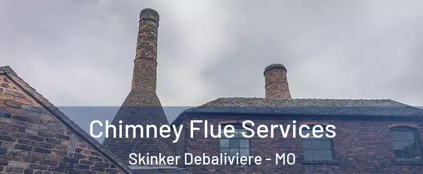 Chimney Flue Services Skinker Debaliviere - MO