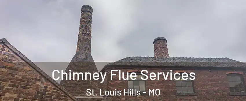 Chimney Flue Services St. Louis Hills - MO