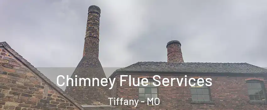 Chimney Flue Services Tiffany - MO