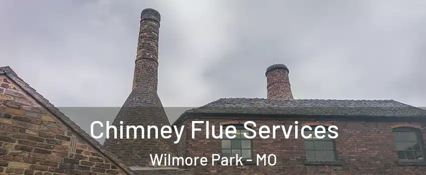 Chimney Flue Services Wilmore Park - MO