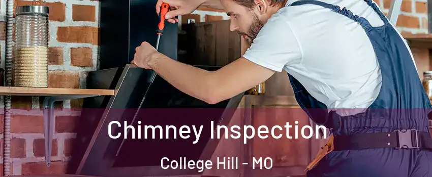 Chimney Inspection College Hill - MO