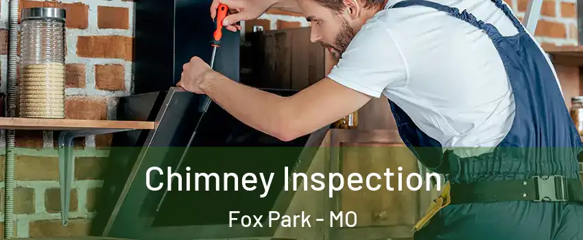 Chimney Inspection Fox Park - MO