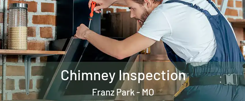 Chimney Inspection Franz Park - MO