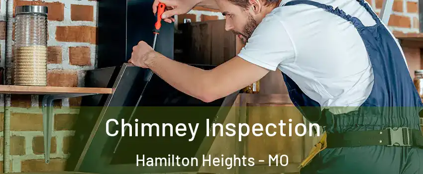 Chimney Inspection Hamilton Heights - MO