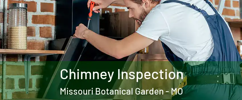 Chimney Inspection Missouri Botanical Garden - MO