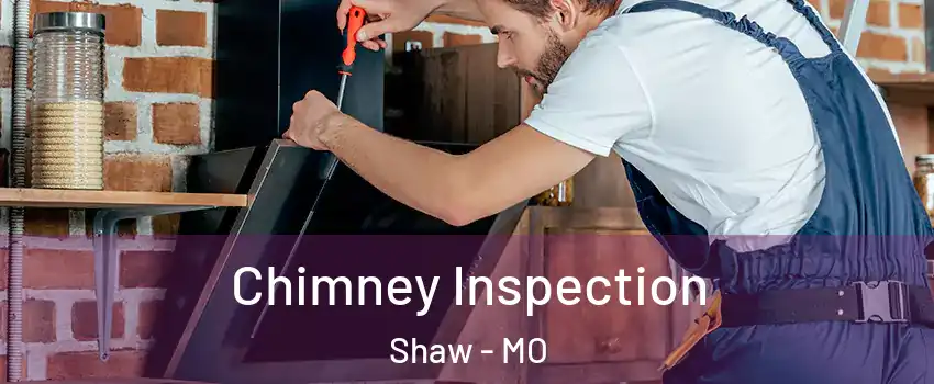 Chimney Inspection Shaw - MO