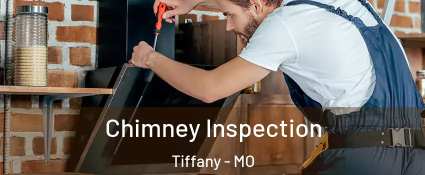 Chimney Inspection Tiffany - MO