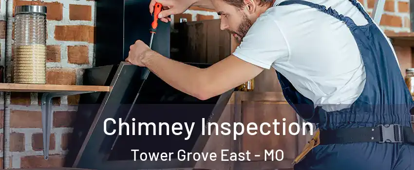 Chimney Inspection Tower Grove East - MO