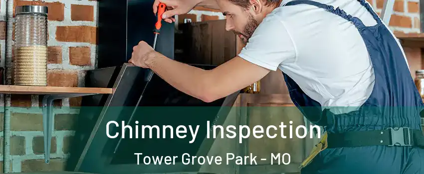 Chimney Inspection Tower Grove Park - MO
