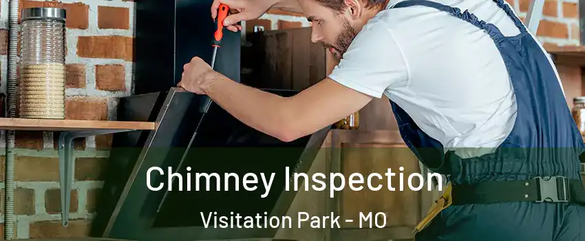 Chimney Inspection Visitation Park - MO
