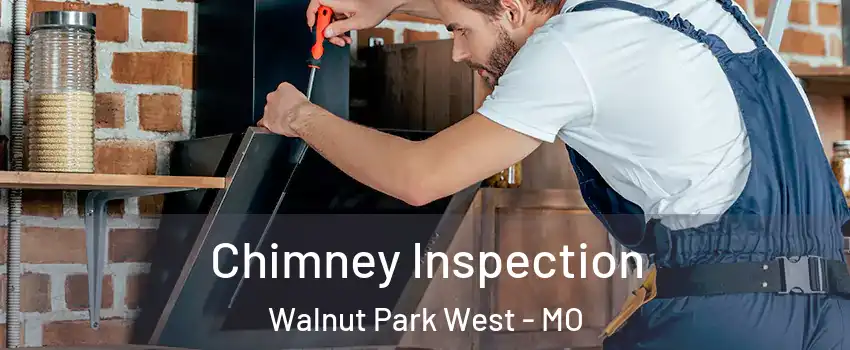 Chimney Inspection Walnut Park West - MO