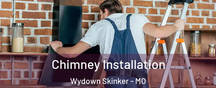 Chimney Installation Wydown Skinker - MO