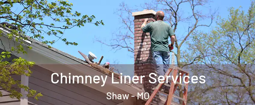 Chimney Liner Services Shaw - MO