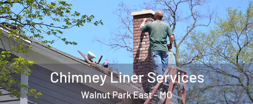 Chimney Liner Services Walnut Park East - MO