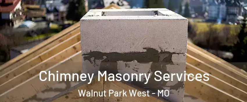 Chimney Masonry Services Walnut Park West - MO