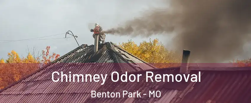 Chimney Odor Removal Benton Park - MO