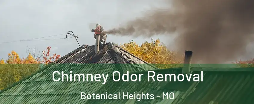 Chimney Odor Removal Botanical Heights - MO