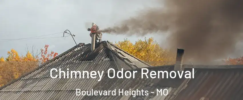 Chimney Odor Removal Boulevard Heights - MO