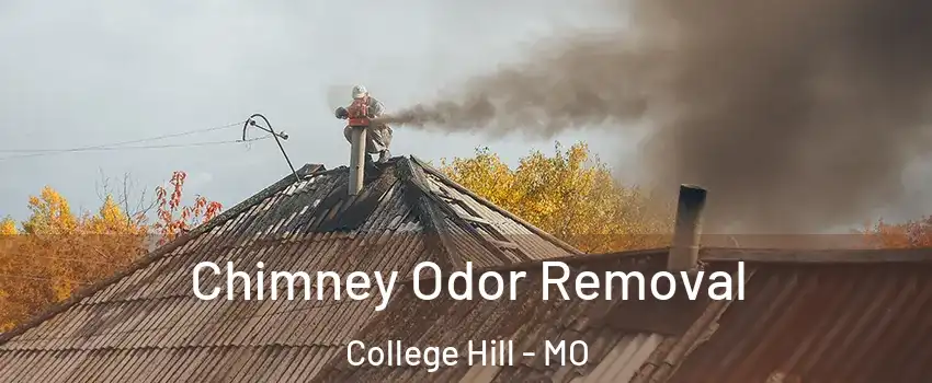 Chimney Odor Removal College Hill - MO