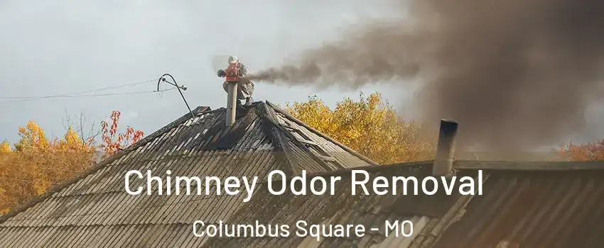 Chimney Odor Removal Columbus Square - MO