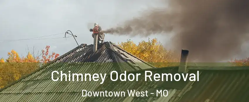 Chimney Odor Removal Downtown West - MO