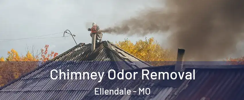 Chimney Odor Removal Ellendale - MO