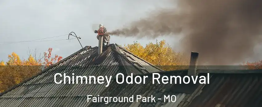 Chimney Odor Removal Fairground Park - MO