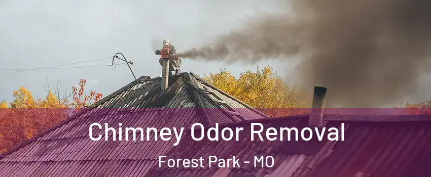 Chimney Odor Removal Forest Park - MO