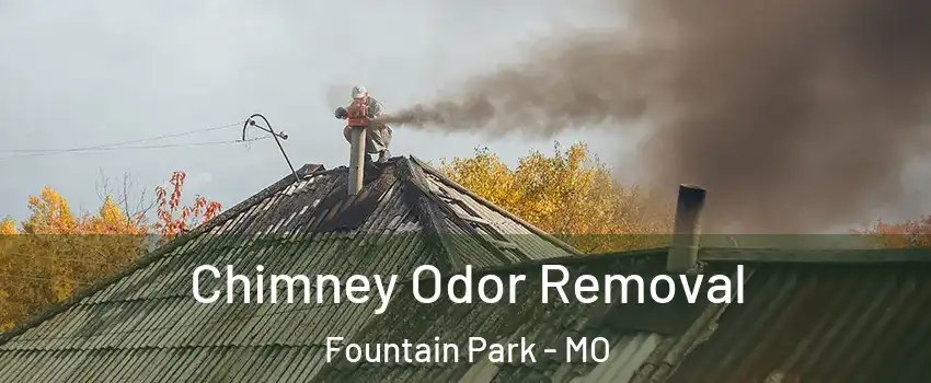 Chimney Odor Removal Fountain Park - MO