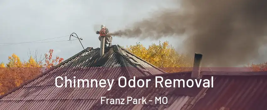 Chimney Odor Removal Franz Park - MO