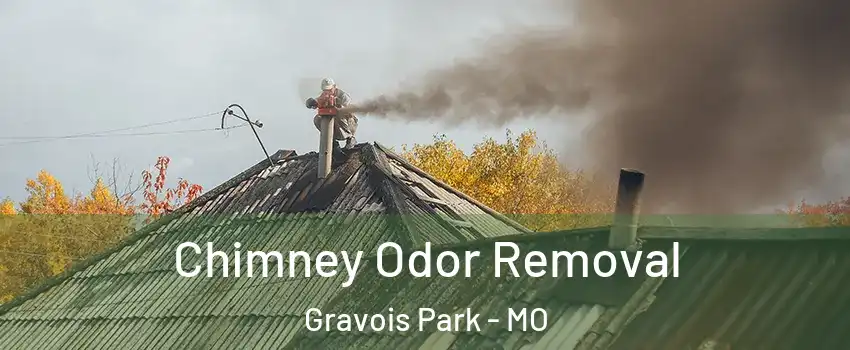 Chimney Odor Removal Gravois Park - MO