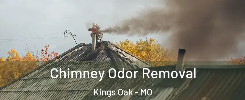 Chimney Odor Removal Kings Oak - MO