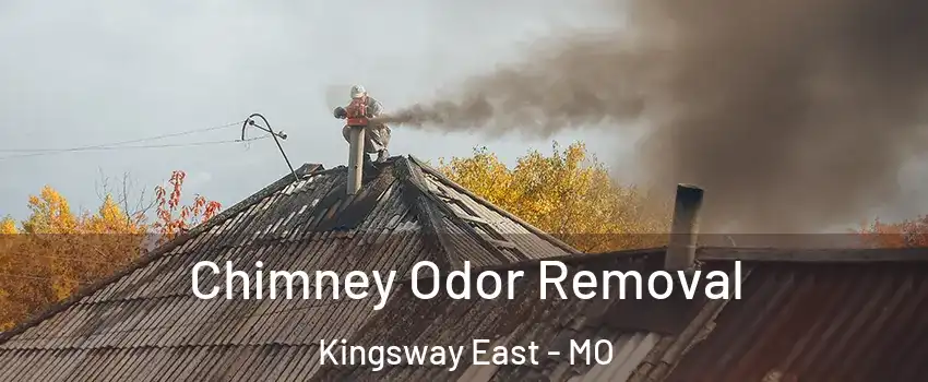 Chimney Odor Removal Kingsway East - MO