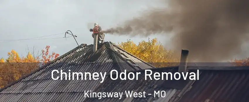 Chimney Odor Removal Kingsway West - MO