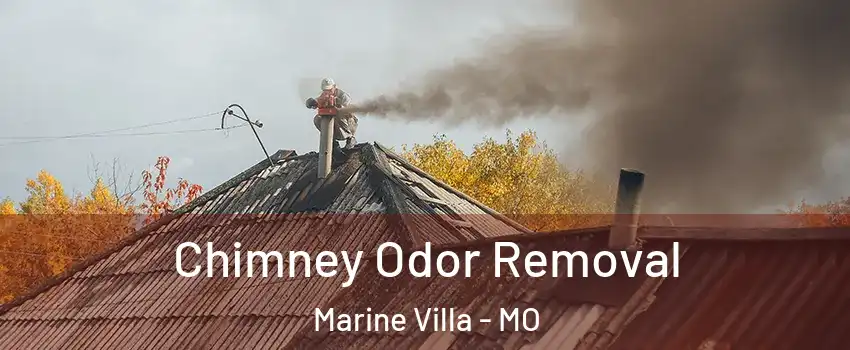 Chimney Odor Removal Marine Villa - MO