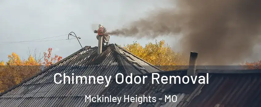Chimney Odor Removal Mckinley Heights - MO