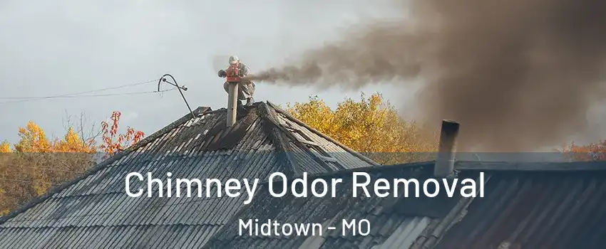Chimney Odor Removal Midtown - MO