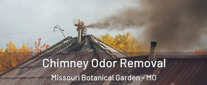 Chimney Odor Removal Missouri Botanical Garden - MO