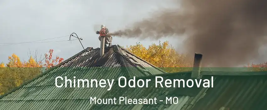 Chimney Odor Removal Mount Pleasant - MO
