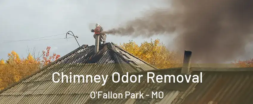 Chimney Odor Removal O'Fallon Park - MO